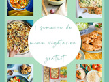 Batch cooking végétarien : 7 recettes faciles et gourmandes